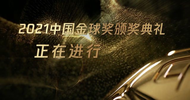 国内精品91久久久久