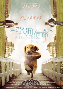 草草影院发布页