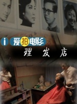 樱花小猫的视频大全