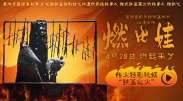 99热只有这里有精品