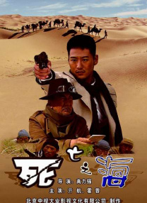 久久九九视频
