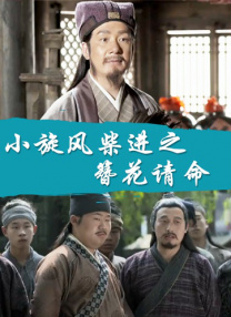 av在线播放器