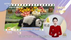 扒开腿狂躁老师爽出白浆视频